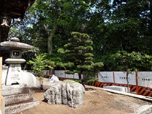 画素変更DSC02260.jpgのサムネイル画像