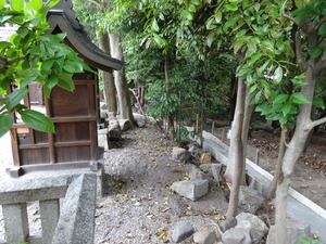 DSC02265.JPGのサムネイル画像