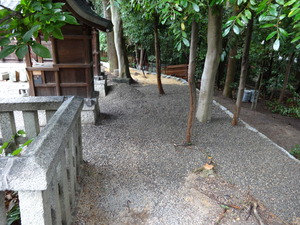 DSC02418.JPGのサムネイル画像のサムネイル画像